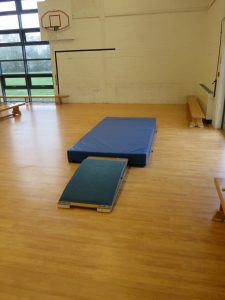 Flare Gymnastics Club